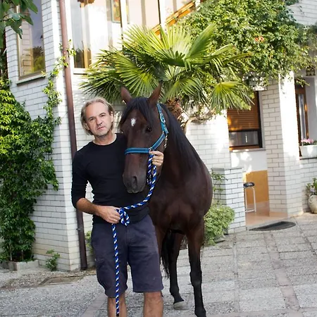 Stefancic Hiša za goste