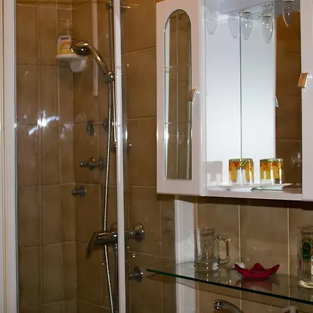 Stefancic Guest house Dekani